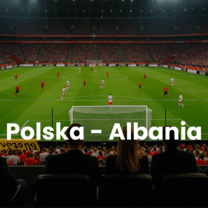 bilety VIP Polska - Albania 2026 pakiet Silver